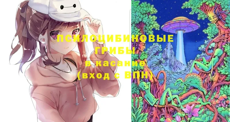 Галлюциногенные грибы Magic Shrooms Ялта